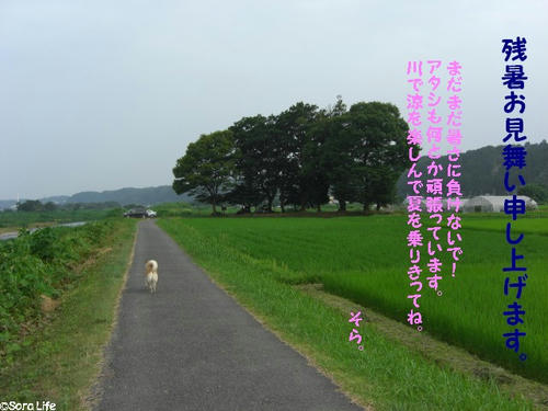 a867c229.jpeg