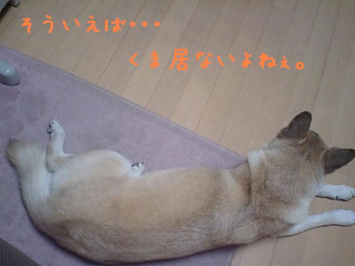 CA340073.JPG