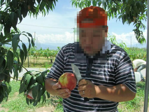 6cf3b874.jpeg