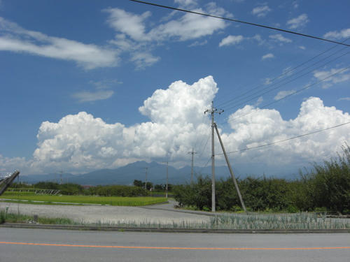 CIMG0501.JPG