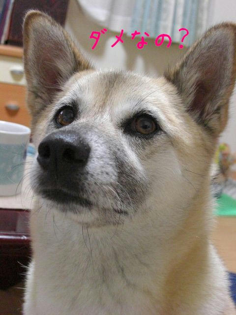CIMG0569.JPG