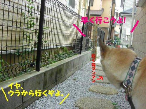 CIMG0594.JPG