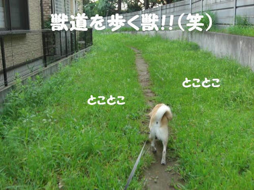 CIMG0597.JPG