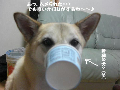CIMG0614.JPG