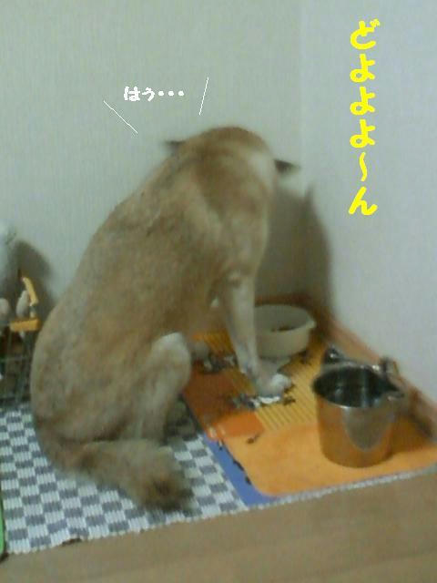 CA3B0062.jpg