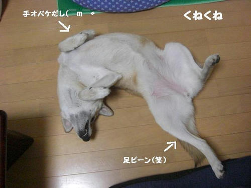 CIMG0660.JPG