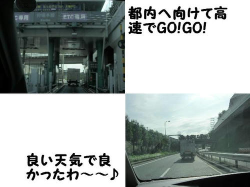 CIMG0728.JPG