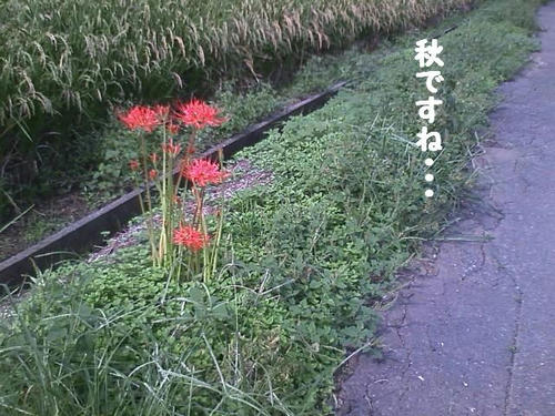 CA3B0090.jpg