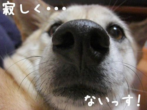 b7486d9d.jpeg