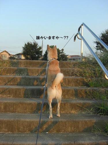 CIMG0872.JPG