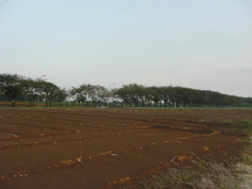 CIMG0882.JPG