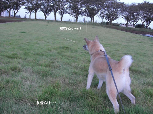 ecfe8d7f.jpeg
