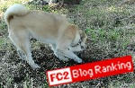 FC2 Blog Ranking