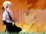 Fate セイバー 