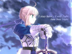 Fate セイバー 
