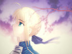 Fate(フェイト) セイバー 
