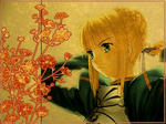 Fate(フェイト) セイバー 