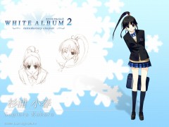 WHITE ALBUM２