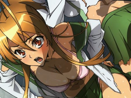 学園黙示録 HIGHSCHOOL OF THE DEAD