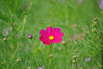 20111008-2.jpg