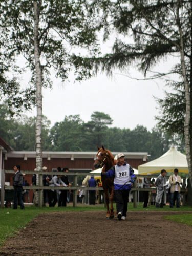 amabi_select_08.jpg