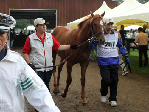 amabi_select_12.jpg