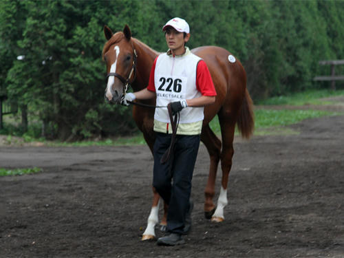 pla2012_02.jpg
