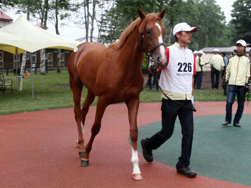 pla2012_05.jpg