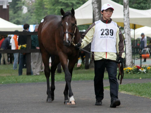 ama2012_02.jpg