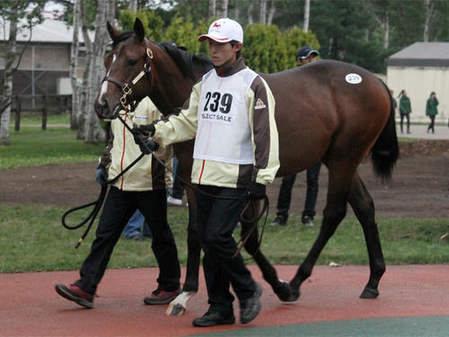 ama2012_04.jpg