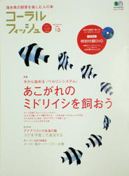 edcc10a2.jpg