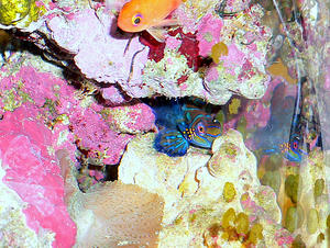 P1030423-1.JPG
