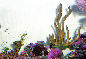 P1030434-1.JPG