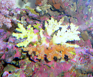 P1030447-1.JPG
