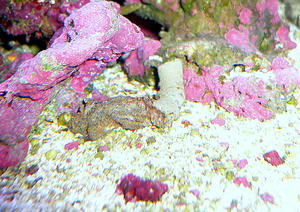 P1030448-1.JPG