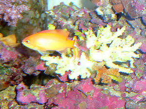 P1030466-1.JPG