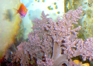 P1030465-1.JPG