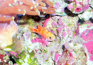 P1030471-1.JPG