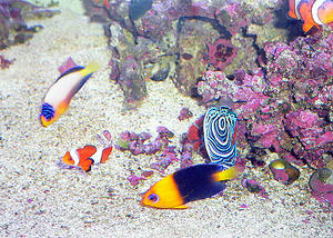 P1030489-1.JPG