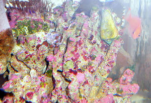 P1030493-2.JPG