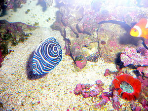 P1030500-1.JPG