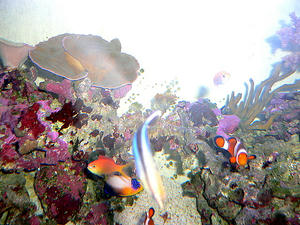 P1030502-1.JPG
