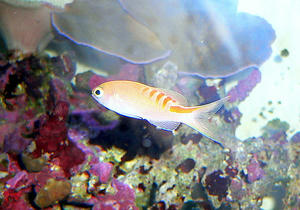 P1030504-1.JPG