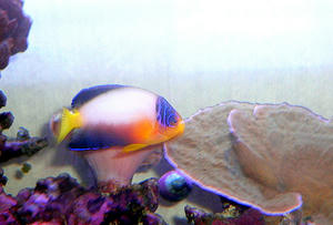 P1030594-1.JPG