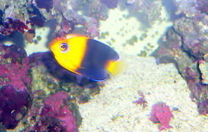 P1030596-1.JPG
