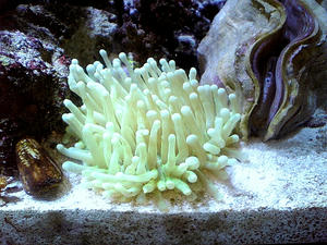 9b8b2435.JPG