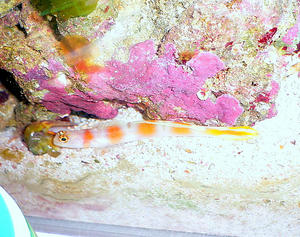 P1030614-1.JPG