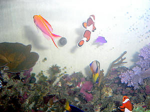 P1040039-1.JPG