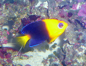 P1040035-1.JPG