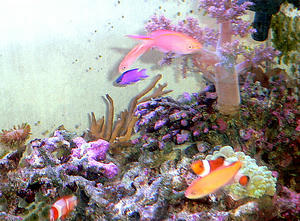 P1040057-1.JPG